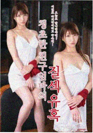 日本在线观看 晨间物语